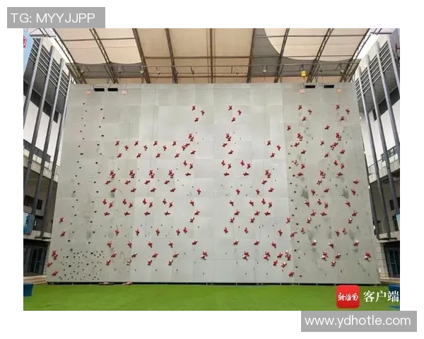 杭州攀岩队速度训练揭秘：挑战极限与激情碰撞的攀岩之旅